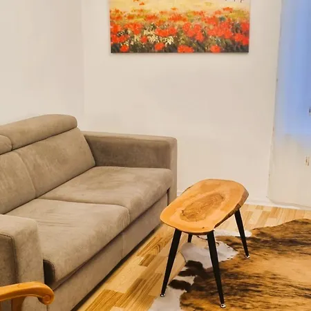 Schoener Wohlfuehlen In 2 Zentral Bis Zu 4 Personen Daire *